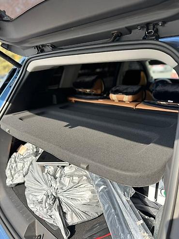 Weltmeister: Weltmeister EX5, 2020 г. — 2