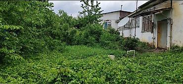 kiraye evlerin satisi: 5 sot, Tikinti, Kupça (Çıxarış) — 3