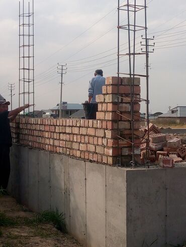 бурсчатка койобуз: Кирпич койобуз чалгыла сапатуу жана бат