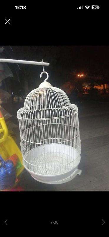 bulbul qefesi: Valnisti Quş qəfəsi 9-azn 1-ci 2-ci 3-cü 4-cü şəkildəki qəfəslər 9-azn — 10