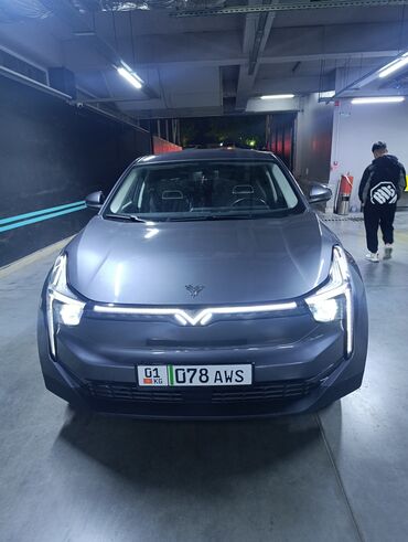 чехол на машина: Voyah : 2022 г., 0.1 л, Автомат, Электромобиль, Кроссовер