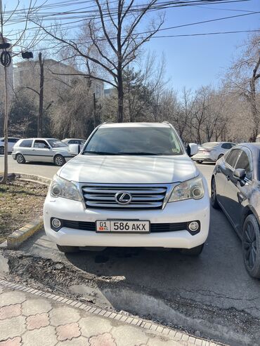 lexus внедорожник: Lexus GX: 2010 г., 4.6 л, Автомат, Бензин, Внедорожник