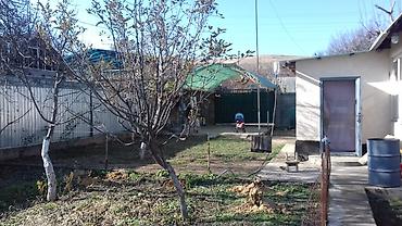122: 🏡 Продаётся дом на Панораме с чистым воздухом и прекрасным видом! 📐 — 1