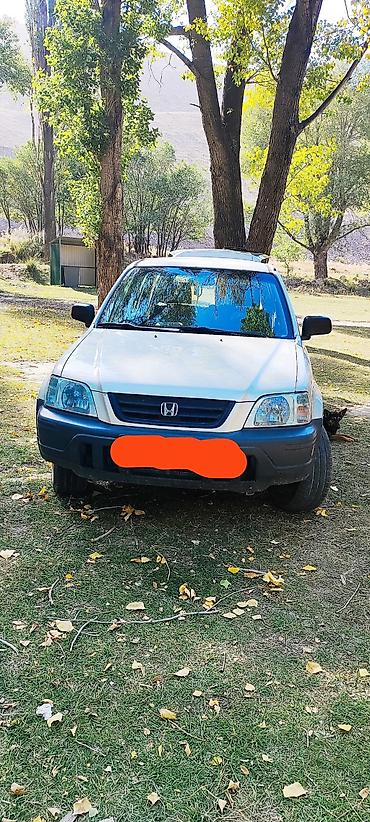 honda prelude 85: Honda CR-V: 1999 г., Кроссовер — 1