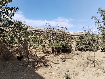 Həyət evləri və villaların satışı: 7 otaqlı, 156 kv. m, Təmirsiz — 18