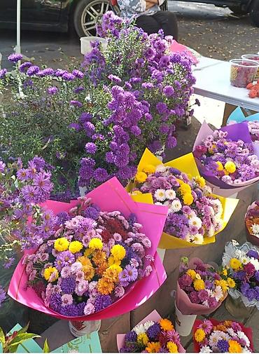 Пленка и бумага: Бумага, Новый — 1