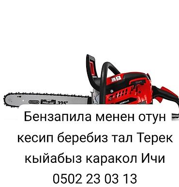 баня кочкор: Услуги бензапил отун кесебиз тал Терек жыгабыз Каракол — 1