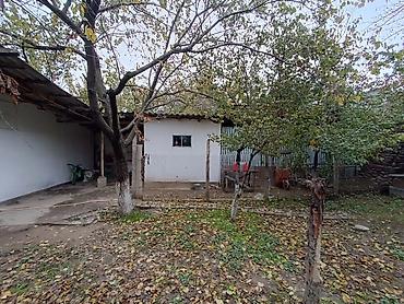 Продажа коттеджей и домов: Продаётся частный дом с большим двором и хозяйственными постройками — 6