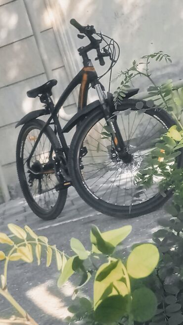 İdman velosipedləri: Şose velosipedi 26"