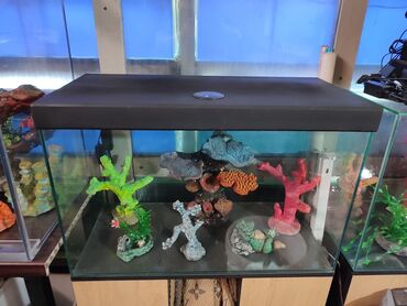 светильник для аквариума: Аквариум объём 100 л . новый в комплекте крышка светильник