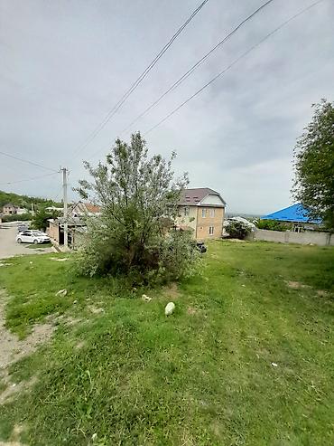 уч: 5 соток — 1