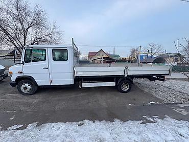Mercedes-Benz: Mercedes-Benz Vario: 2004 г., 4.3 л, Механика, Дизель — 7