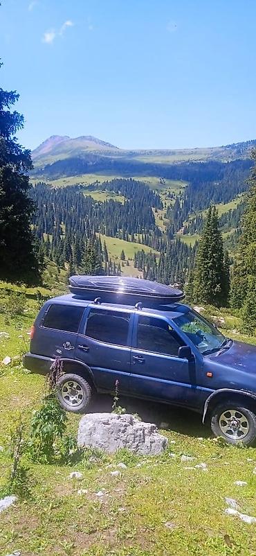 rox 01: Nissan Terrano II: 1994 г., 2.4 л, Механика, Бензин, Внедорожник — 4