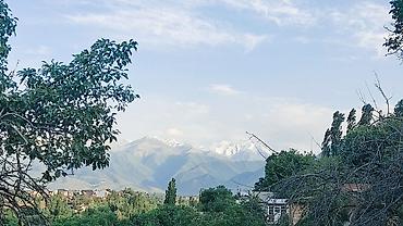 Продажа участков: 6 соток, Для бизнеса, Красная книга, Тех паспорт, Договор купли-продажи — 18