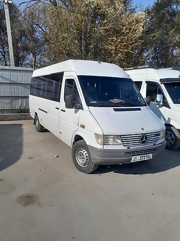 rex sprinter: Mercedes-Benz Спринтер: 1997 г., 2.9 л, Механика, Дизель, Бус — 1
