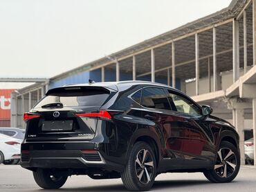 Lexus: Lexus NX: 2019 г., 2.5 л, Вариатор, Гибрид, Кроссовер — 4