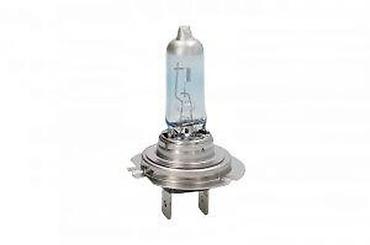 Ostalo: Halogena H7 sijalica za automobil marke Philips, deo serije — 7