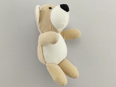 pull and bear krótkie spodenki: Mascot Teddy bear, condition - Very good