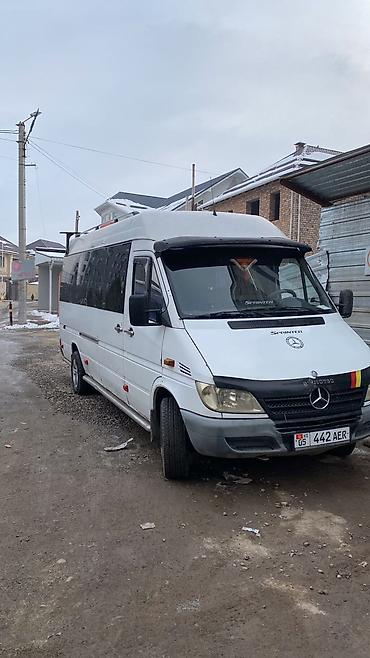 d 4d: БУС НА ЗАКАЗ Пассажирские перевозки на микроавтобусах Mercedes‑Benz — 2