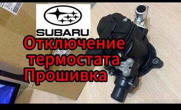 элктро мобил: Плановое техобслуживание, Профилактика систем автомобиля, Компьютерная диагностика, без выезда