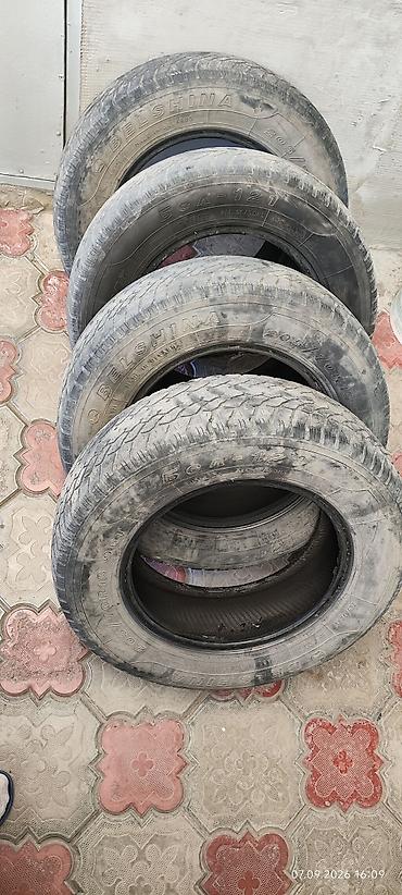 r15 100: Шины 205 / 70 / R 15, Всесезонная, Б/у, Комплект, Легковые, Belshyna — 1
