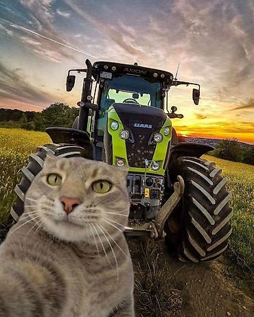 ухаживал: 🚜 ТРЕБУЕТСЯ ТРАКТОРИСТ НА ВАХТУ В г Сафоново Ищем опытного тракториста — 2