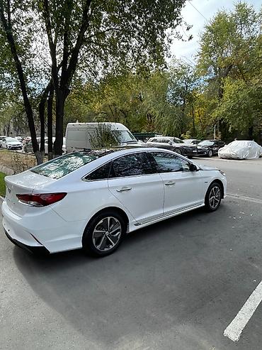 sonata nf: Hyundai Sonata: 2020 г., 2 л, Автомат, Гибрид, Седан — 4