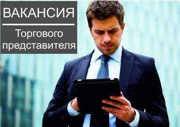 дом на иссык куле купить: Торговый представитель Торговый агент