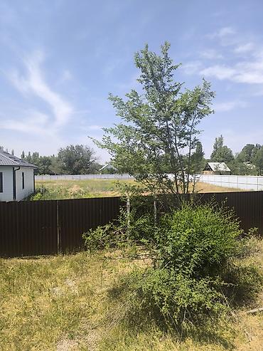 та зона: 15 соток, Договор купли-продажи — 1