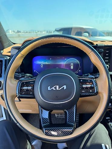 Kia: Kia Sorento: 2020 г., Гибрид, Кроссовер — 19