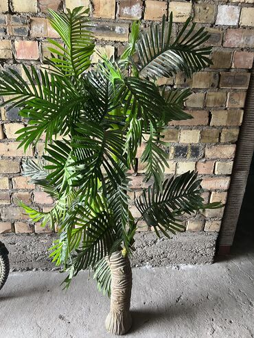 Другие товары для дома и сада: Исскуственная пальма. Высота примерно 
1 метр 60 см