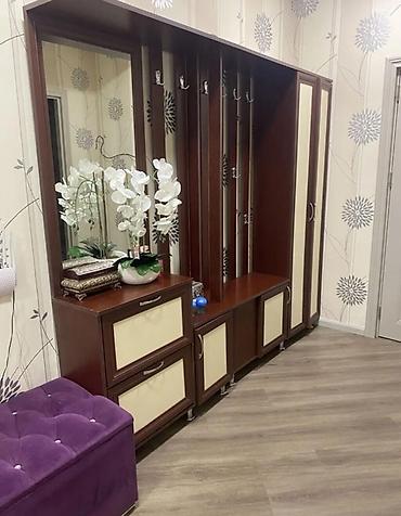 dehliz dolap: İşlənmiş, 1 qapı, Açılan, Düz dolab — 1