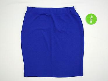 sukienka chabrowa plus size: Spódnica damska, rozmiar 2XL — 3