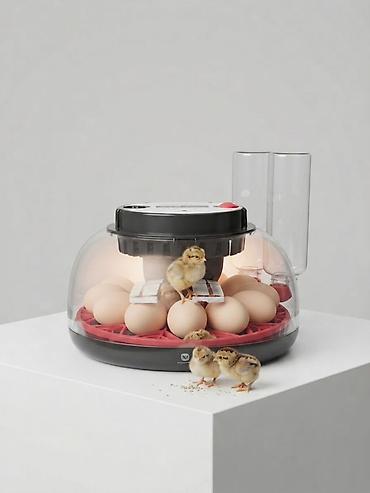 Инкубатор для вывода птенцов (куриные, перепелиные и др. мелкие яйца)