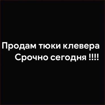 домик бутка: Продаю тюки клевера 
Срочно нужно сегодня звоните по номерам 
 или