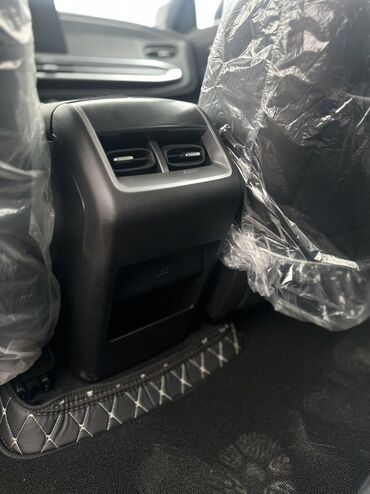 BAW: BAW : 2024 г., 1.5 л, Бензин, Внедорожник — 9