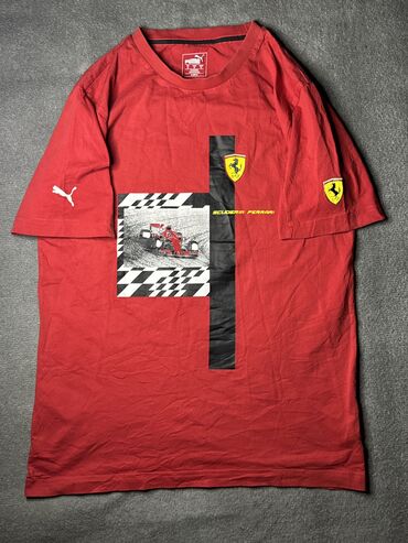 Брюки: Мужская футболка, Puma, M (EU 38), цвет - Красный