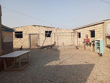 İcarəyə binalar: Ferma satılır ferma Xızı rayonu yeni yaşma kəndində yerləşir 12 sotun — 2