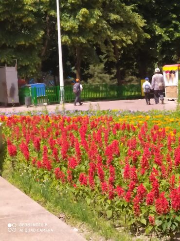 автомобильные кресло: Автокресло, түсү - Көк