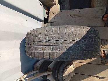 stud 100: Зимняя шина Dunlop 215/55 R17 94Q (шипуемая) - Производитель: Dunlop — 2
