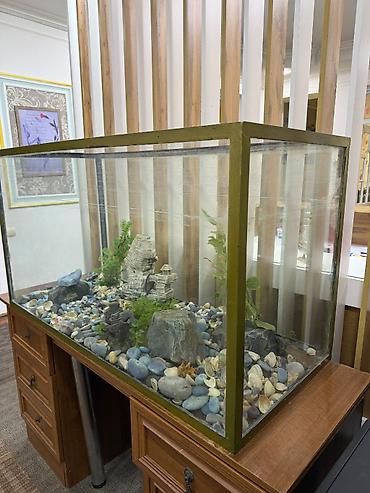 heyvanlar: Dördbucaq akvarium, Boş, 360 l — 2