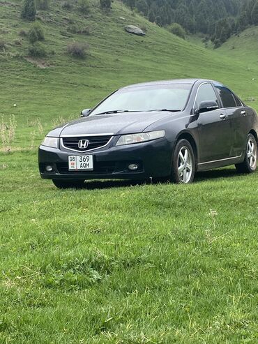 мухобойка хонда аккорд: Honda Accord: 2004 г., 2 л, Автомат, Бензин, Седан