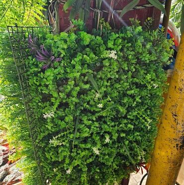 Baštenska dekoracija: Vestacko zelenilo, paneli i dodaci za ukrasavanje prostora, kuce — 6