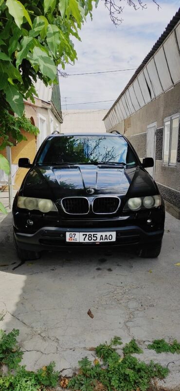 х5 вмб: BMW X5: 2003 г., 3 л, Механика, Газ, Внедорожник