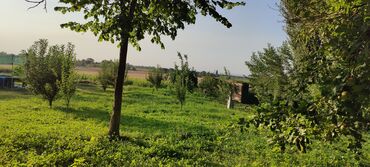 Сельхоз предприятия: Продается Кашара Фермерское- хозяйство с действующим бизнесом и с — 23