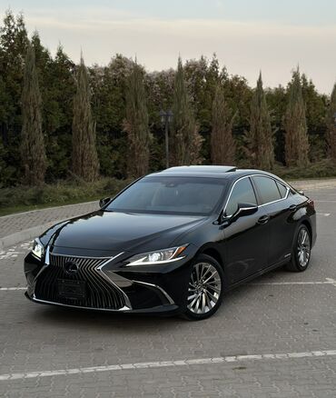 чехол на приус: Lexus ES: 2019 г., 2.5 л, Вариатор, Гибрид, Седан