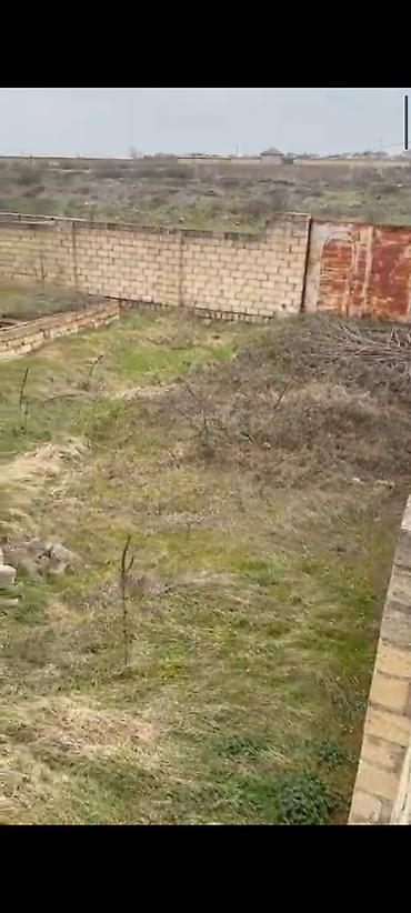 qobuda satilan torpaqlar: 5 sot, Tikinti, Mülkiyyətçi, Kupça (Çıxarış) — 3