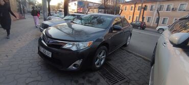 ауди аренда: Сдаю в аренду: Легковое авто | Toyota