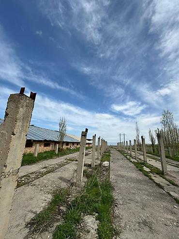 на ферму: Farm КРС, 270 соток, Действующий, Частично с оборудованием, Электричество, Скважина — 10