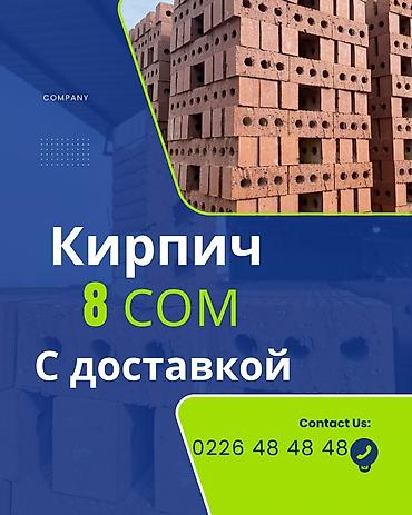 биндеры dsb с прямоугольными отверстиями: Пустотелый, дырчатый, Жженый кирпич, Полублок, 250×120×90 — 1